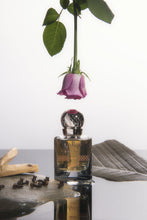 Load image into Gallery viewer, HAIR MIST AL ABIQ-75ML